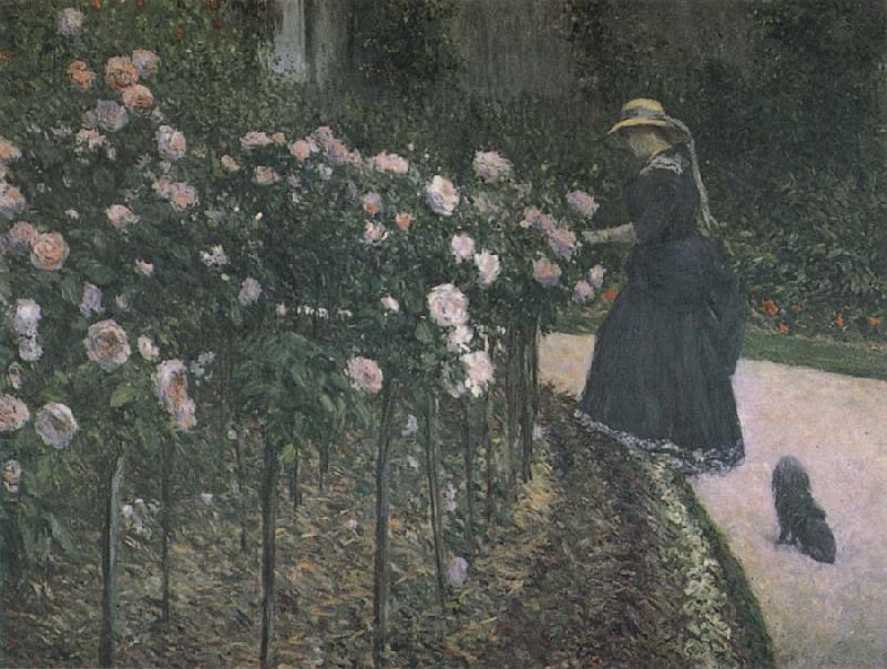 Gustave Caillebotte Some Rose in the garden France oil painting art
